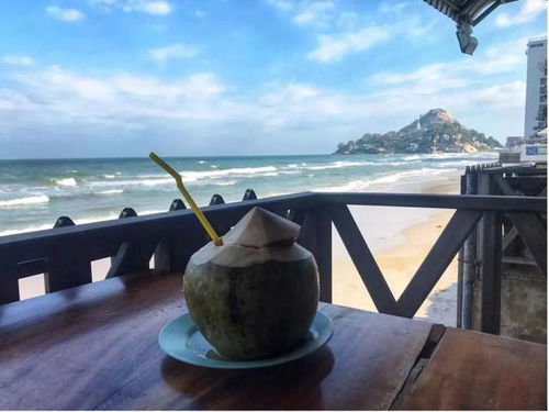 2022年 出境游曙光初現(xiàn)，國內(nèi)旅游迎來新機遇