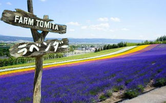 2019盛夏出境游指南 七月出國游最佳目的地推薦